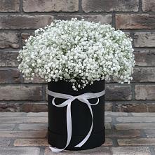 Цветочная композиция из Гипсофила в шляпной коробке в Партизанске